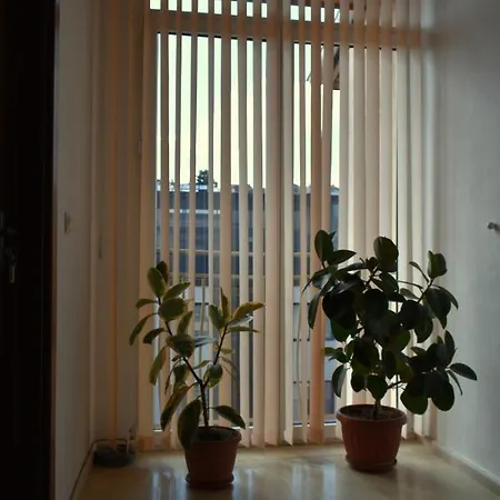 Guest House Гостевой дом *